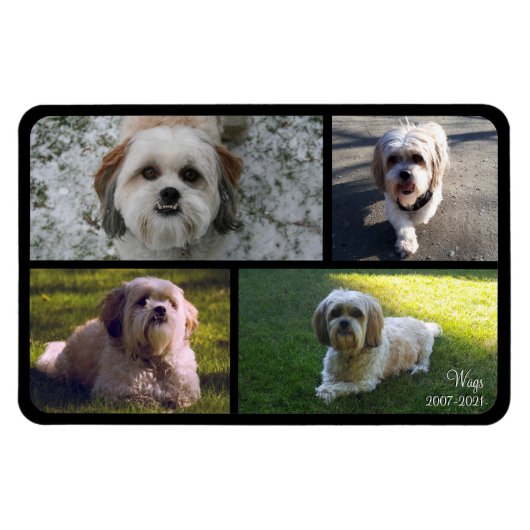 Pet Memorial Photo Collage Name with Dates Magnet Magneet (Horizontaal)
