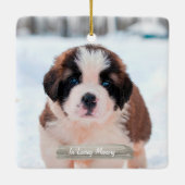 Pet Memorial Photo Ornament (Achterkant)