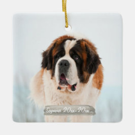 Pet Memorial Photo Ornament
