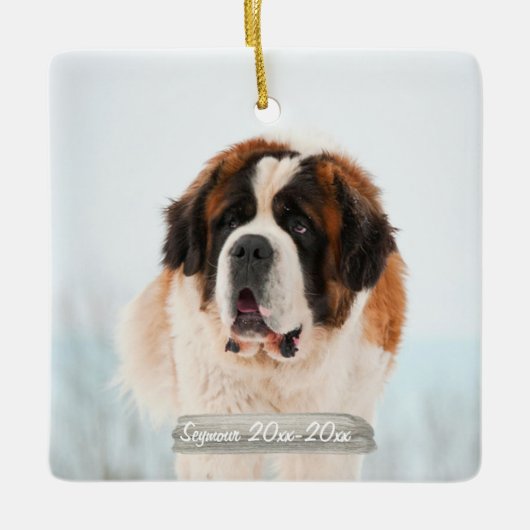 Pet Memorial Photo Ornament (Voorkant)