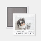 Pet Memorial Quote Simple Moderne Chic Photo Magneet (Voorkant / Achterkant)