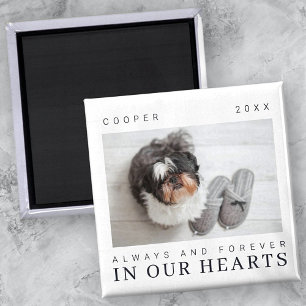 Pet Memorial Quote Simple Moderne Chic Photo Magneet