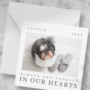 Pet Memorial Quote Simple Moderne Chic Photo Notitiekaartje