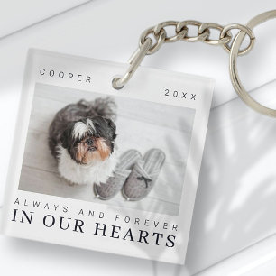 Pet Memorial Quote Simple Moderne Chic Photo Sleutelhanger