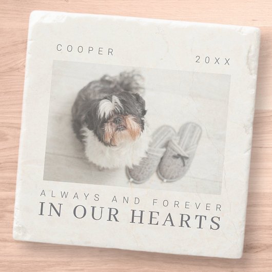Pet Memorial Quote Simple Moderne Chic Photo Stenen Onderzetter