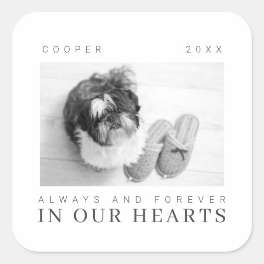 Pet Memorial Quote Simple Moderne Chic Photo Vierkante Sticker (Voorkant)