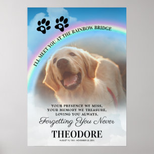 Pet Memorial Rainbow Bridge Foto Poster