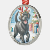 Pet Memorial Red Buffalo Pset Keepomwille Dog Foto Metalen Ornament (Links)