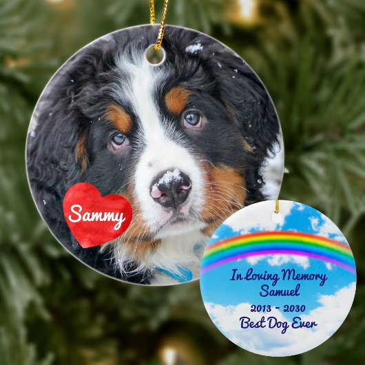 Pet Memorial - Regenboogbrug Moderne Hond Foto Keramisch Ornament
