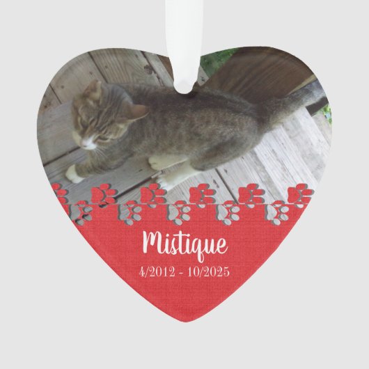 Pet Memorial Remembrance Beloved Keepsake Ornament (voorkant)