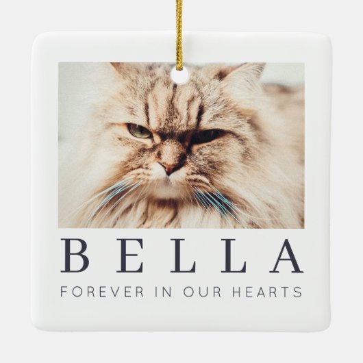 Pet Memorial Simple Modern Chic Family Foto Keramisch Ornament (Achterkant)