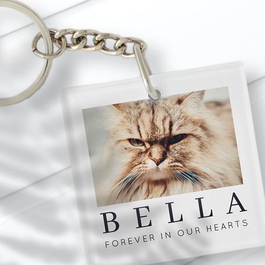 Pet Memorial Simple Modern Chic Family Foto Sleutelhanger