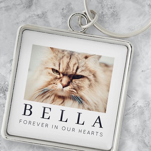 Pet Memorial Simple Modern Chic Family Foto Sleutelhanger