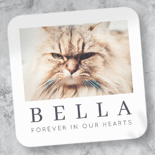Pet Memorial Simple Modern Chic Family Foto Vierkante Sticker
