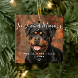 Pet Memorial Specialized Photo Ceramic Ornament