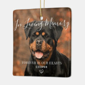 Pet Memorial Specialized Photo Ceramic Ornament (Links)