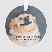 Pet Memorial | Sympathie | 2 Foto's Ornament (voorkant)