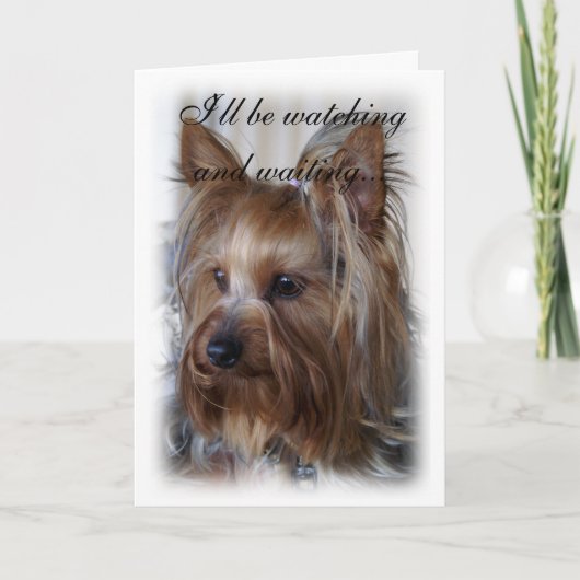 Pet Memorial Sympathy Kaart (Voorkant)