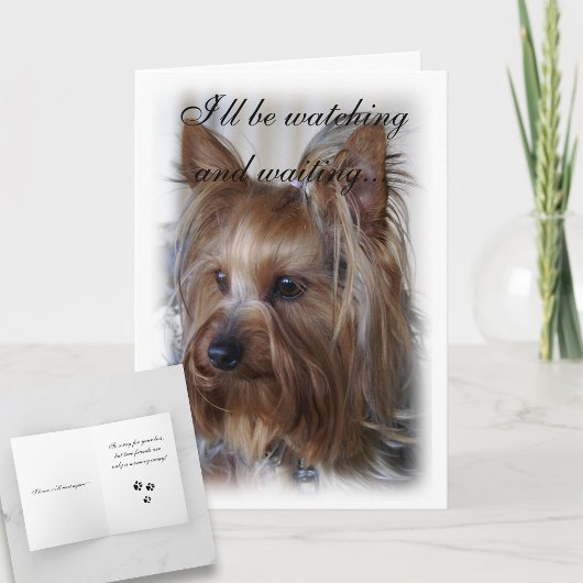Pet Memorial Sympathy Kaart