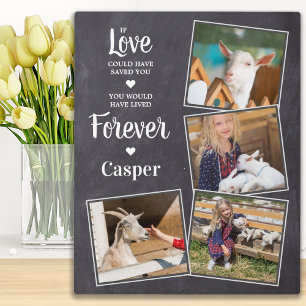 Pet Memorial Sympathy Keepslag Pet Loss 4 Foto Fotoplaat
