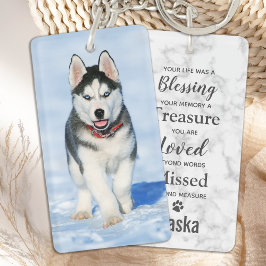 Pet Memorial Sympathy Pet Loss Foto Memorial Sleutelhanger