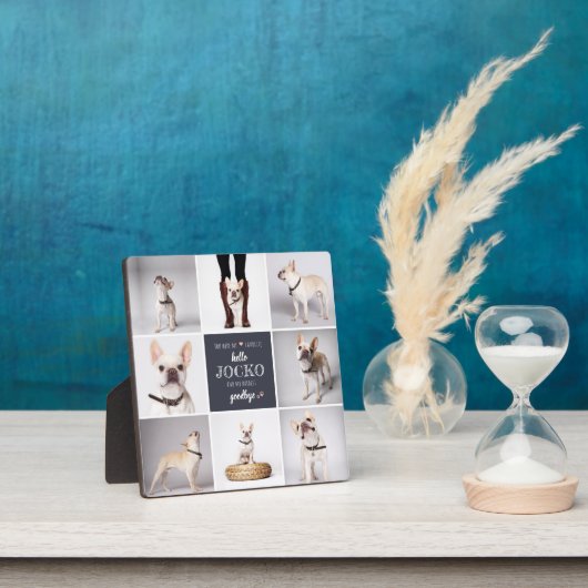 Pet Memorial Sympathy Quote Keepomwille Photo Coll Fotoplaat (Insitu)