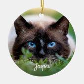 Pet Memorial Sympathy Rainbow Bridge Cat Foto Keramisch Ornament (Voorkant)