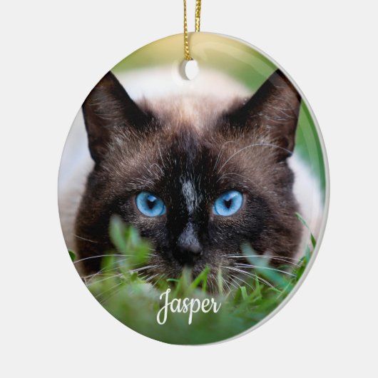 Pet Memorial Sympathy Rainbow Bridge Cat Foto Keramisch Ornament (Links)