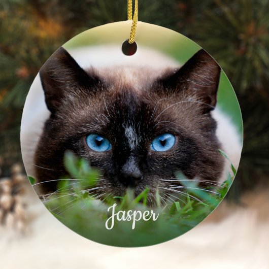 Pet Memorial Sympathy Rainbow Bridge Cat Foto Keramisch Ornament