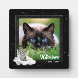 Pet Memorial Tabby Cat Silver Stripes Foto Fotoplaat
