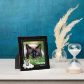Pet Memorial Tabby Cat Silver Stripes Foto Fotoplaat (Insitu)