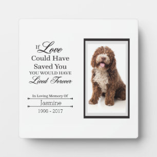 Pet Memorial Tabletop Plaque met Easel Fotoplaat