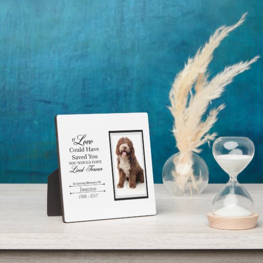 Pet Memorial Tabletop Plaque met Easel Fotoplaat (Insitu)