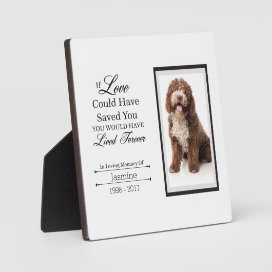 Pet Memorial Tabletop Plaque met Easel Fotoplaat (Voorkant)