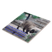 Pet Memorial Tegel, Seal Point Cat Tegeltje (Zijkant)