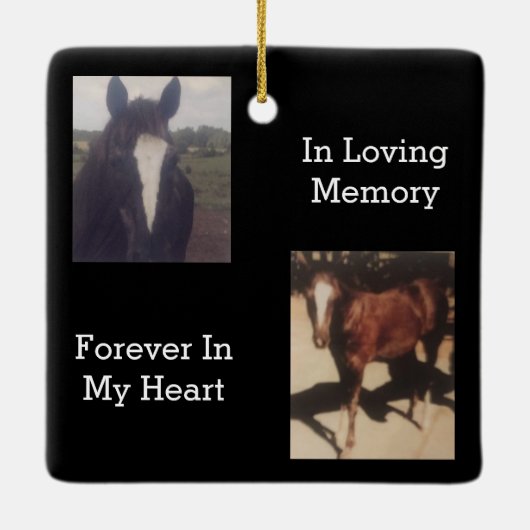 Pet Memorial Two Photo Keepomwille Keramisch Ornament (Achterkant)