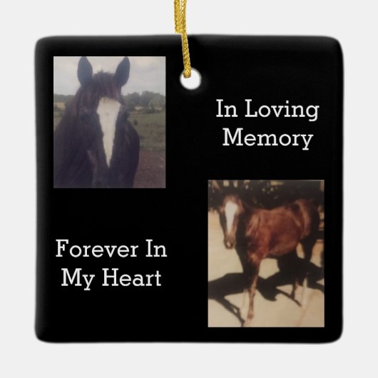 Pet Memorial Two Photo Keepomwille Keramisch Ornament (Voorkant)