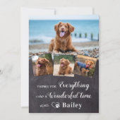 Pet Memorial van de hond Custom 4 fotocollage Bedankkaart (Voorkant)