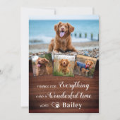 Pet Memorial van hond gepersonaliseerd 4 foto coll Bedankkaart (Voorkant)