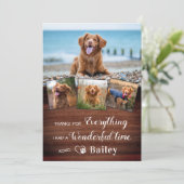 Pet Memorial van hond gepersonaliseerd 4 foto coll Bedankkaart (Staand voorkant)