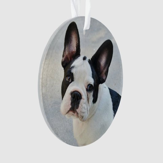 Pet Memorial | Vroeger in ons hart Ornament (voorkant)