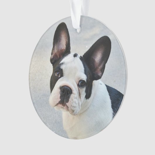 Pet Memorial | Vroeger in ons hart Ornament (voorkant)