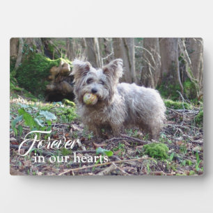 Pet Memorial Your Photo Forever in ons hart Fotoplaat