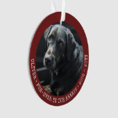 Pet Memory Cat Dog Foto voor altijd aangepast Ornament (voorkant)