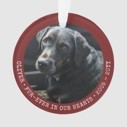 Pet Memory Cat Dog Foto voor altijd aangepast Ornament (voorkant)
