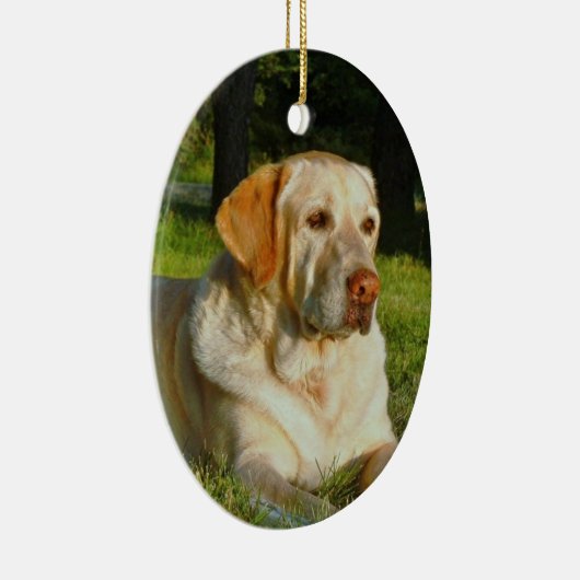 Pet Memory Ornament - Maak uw eigen geheugen (Rechts)