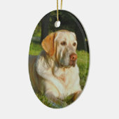 Pet Memory Ornament - Maak uw eigen geheugen (Links)