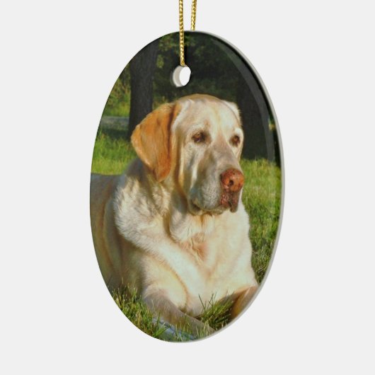 Pet Memory Ornament - Maak uw eigen geheugen (Links)