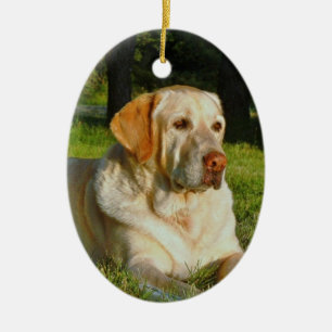 Pet Memory Ornament - Maak uw eigen geheugen