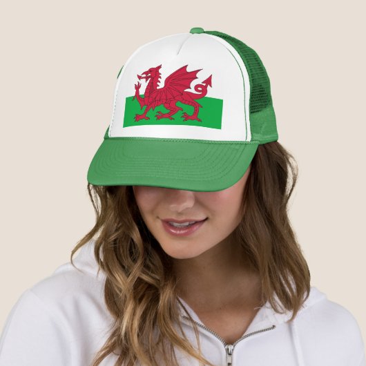 Pet met de vlag van Wales (In situ)